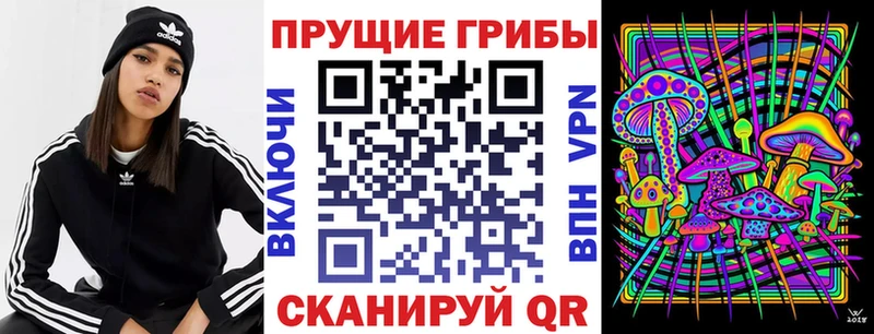 Псилоцибиновые грибы прущие грибы  blacksprut маркетплейс  Приморско-Ахтарск  купить  
